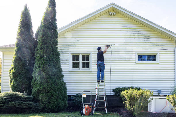 Best Roof Power Washing Services  in Johnston City, IL