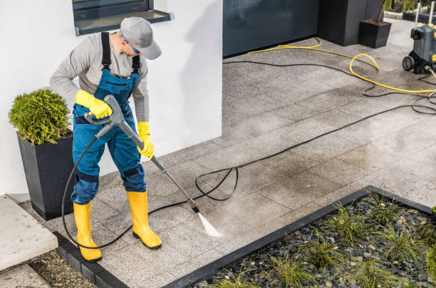 Best Affordable Power Washing  in Johnston City, IL